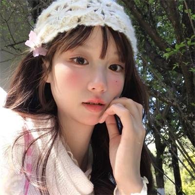菊石海报